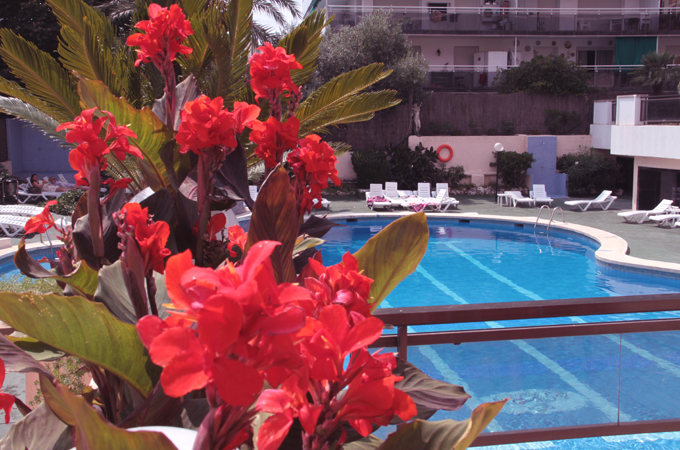 Poolbereich Gran Casino Royal