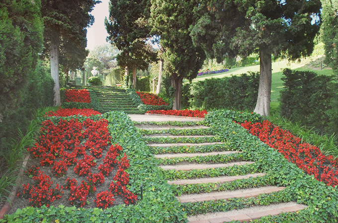 Blumenwiesen pflastern die Treppenstufen